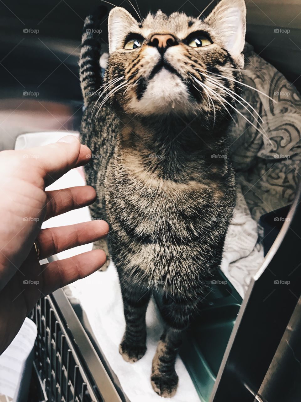 So much love to go around