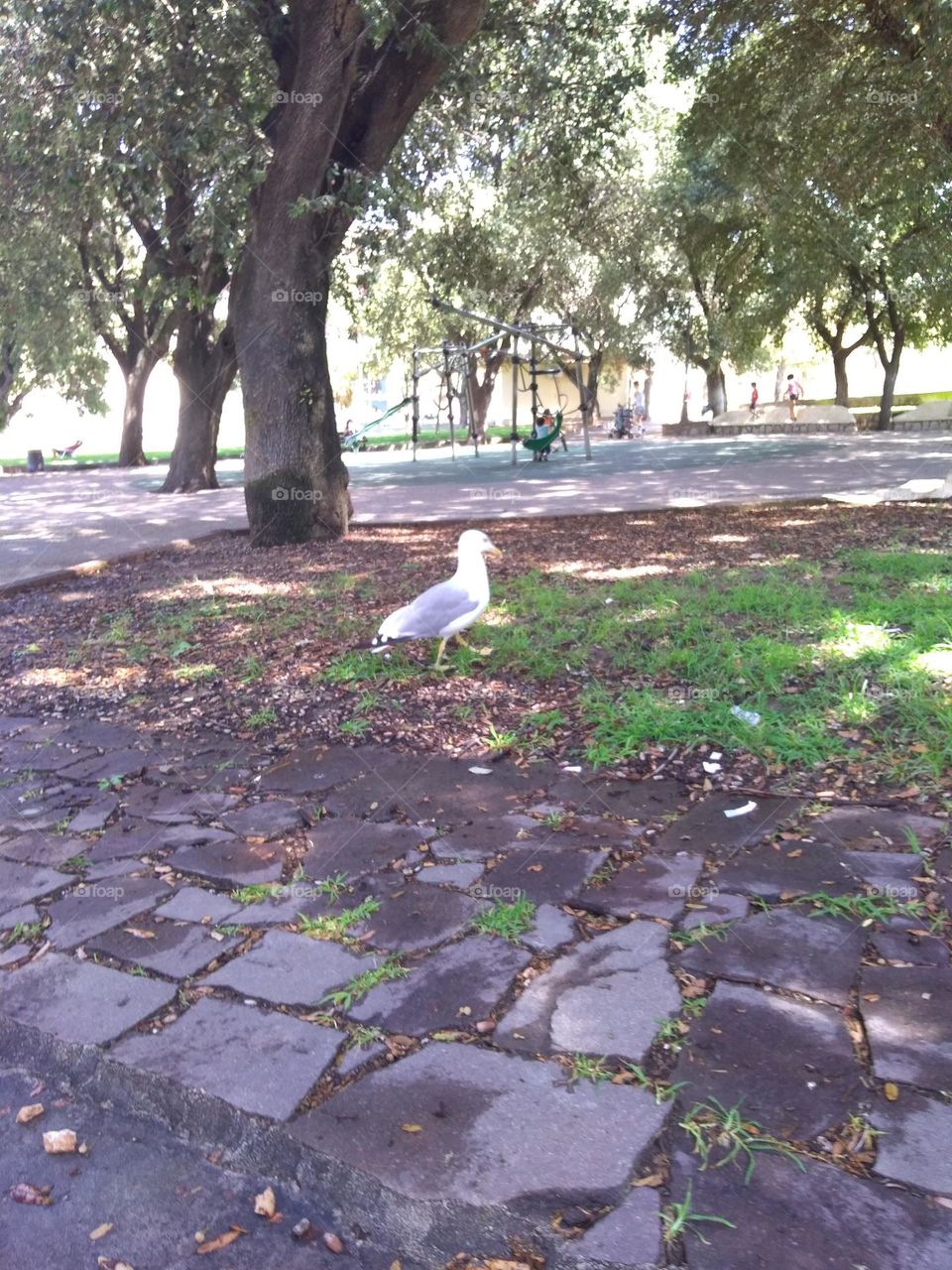 Editors' Choice - Photo of the Week