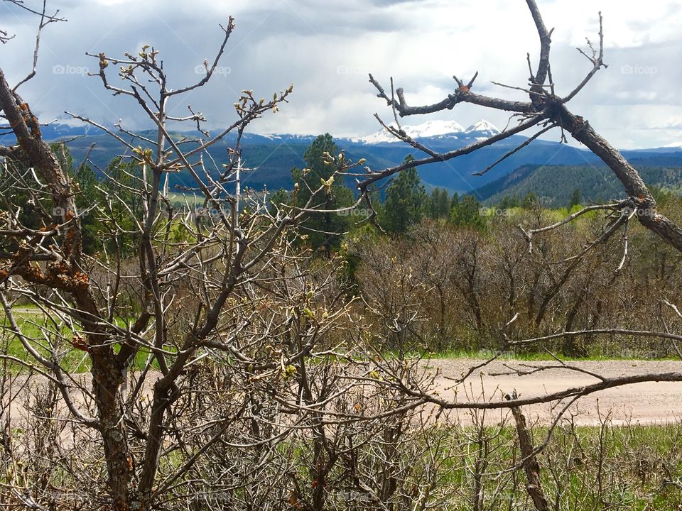 Mountain scene 