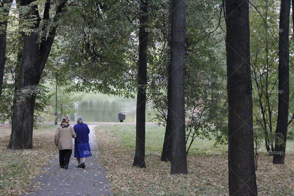 Old friends going for a stroll 