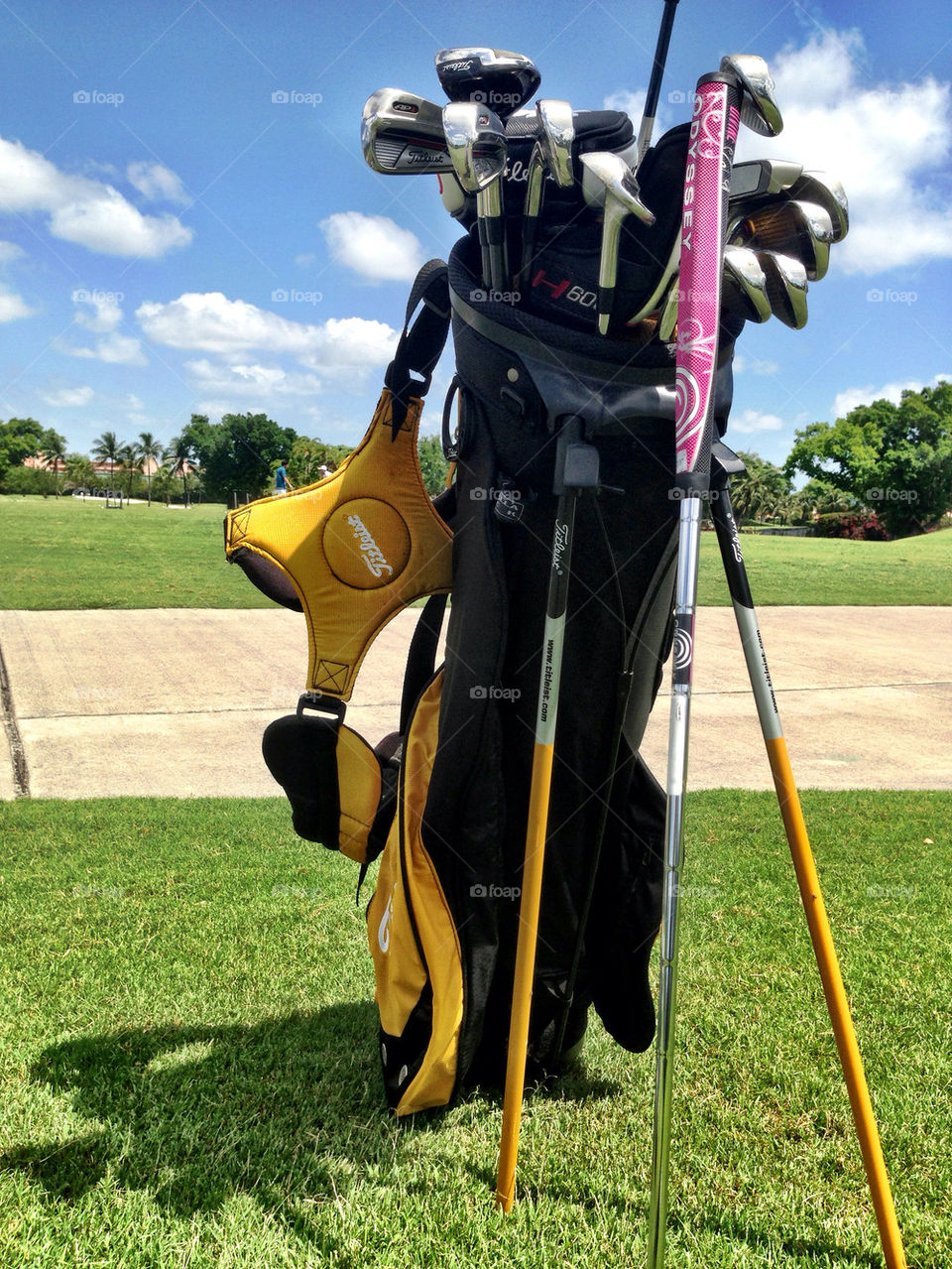 Golf pole bag in golf course