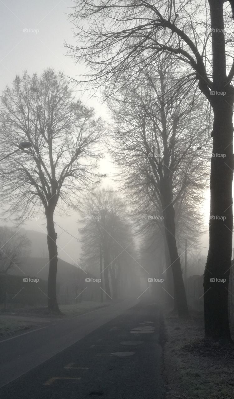 Ice, fog and sun. Is it enough?