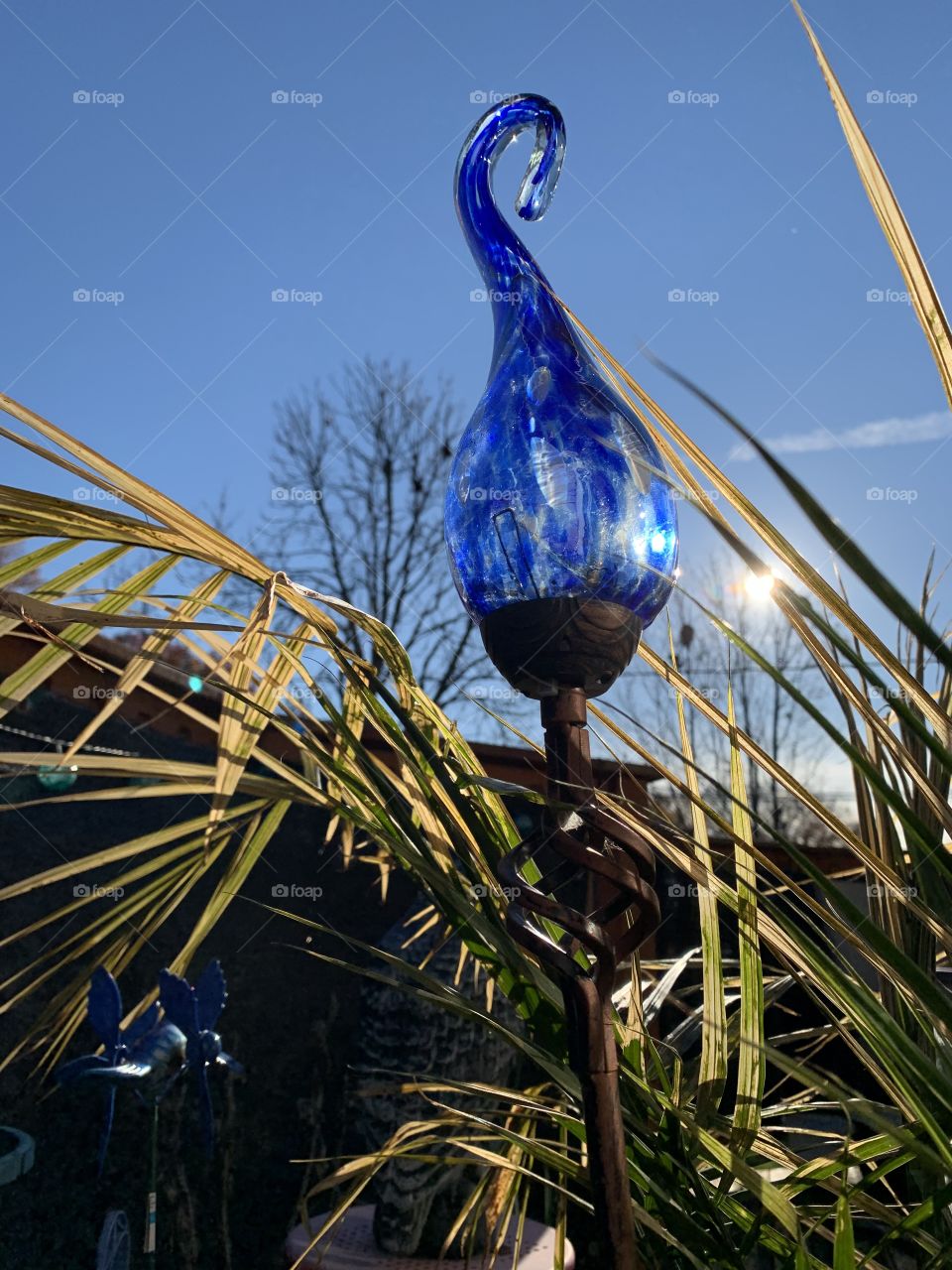 The morning sun rises in the east. It hits the blue glass solar lights just right, amongst the palm leaves. 