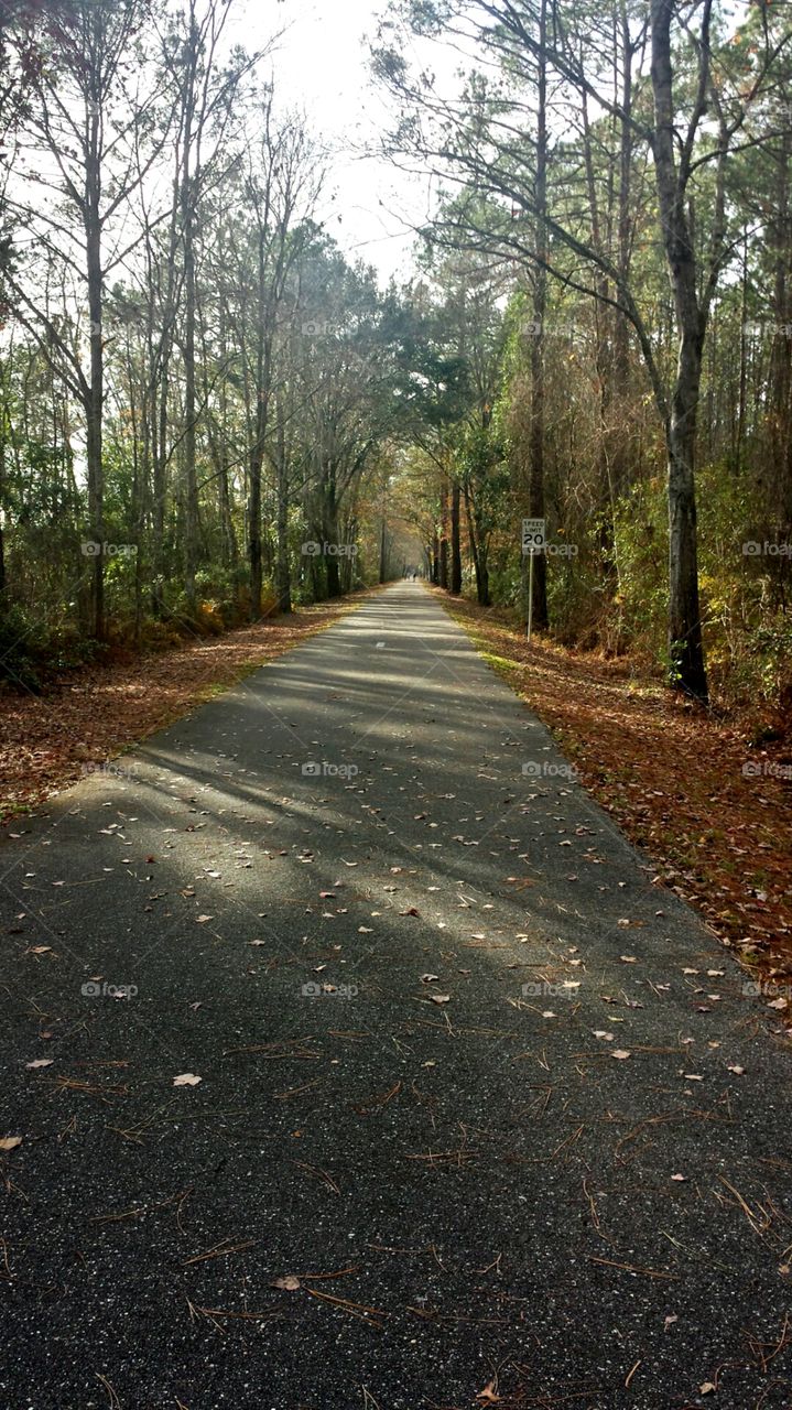 Bike Trail