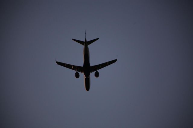Plane in the clear skies 
