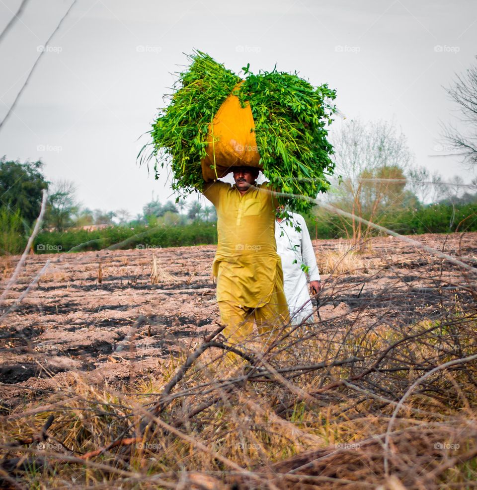 man load grass on his head