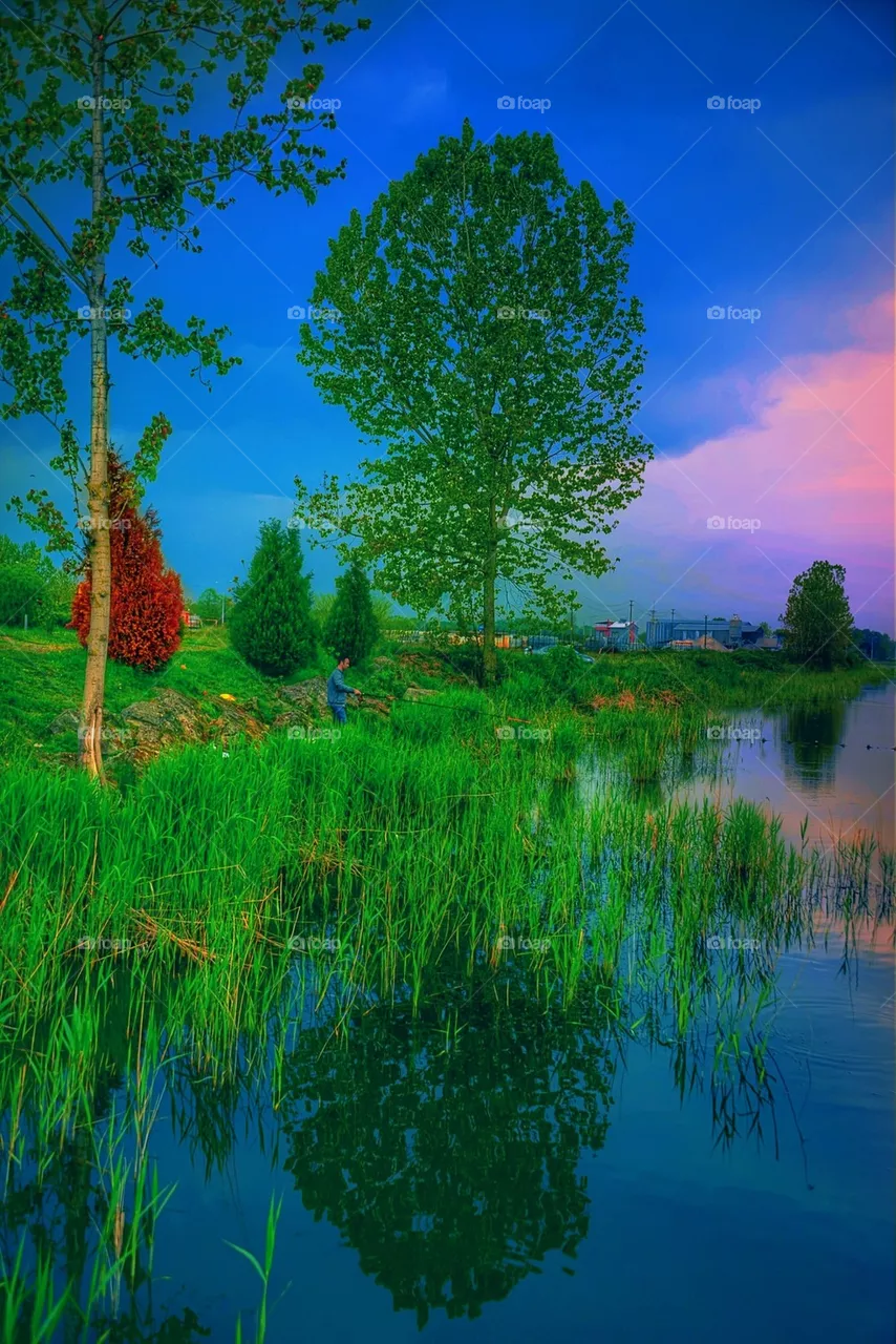 nature
