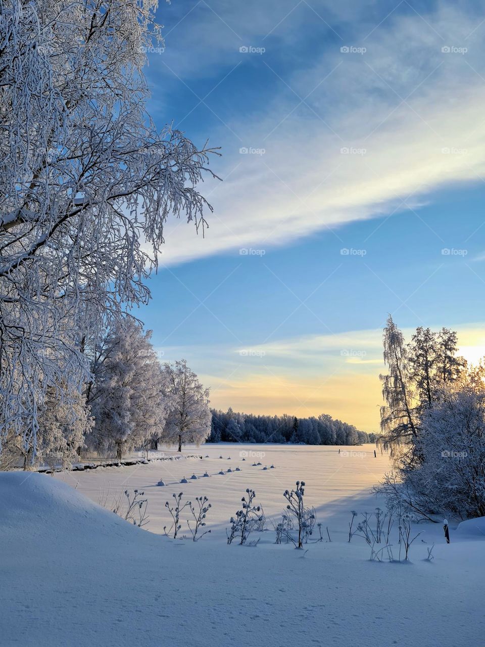 Stunning landscape view with bright blue sky with white clouds, gentle orange sunset on the horizon and icy frosted trees around frozen lake surface 