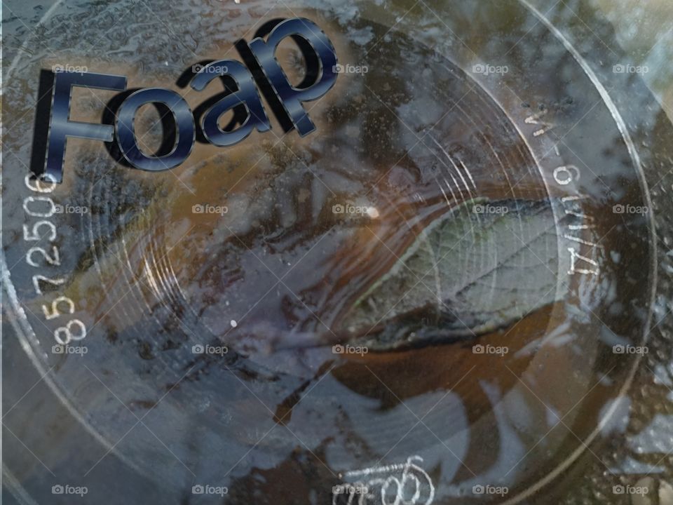 Frozen life in the lens of the camera Foap.