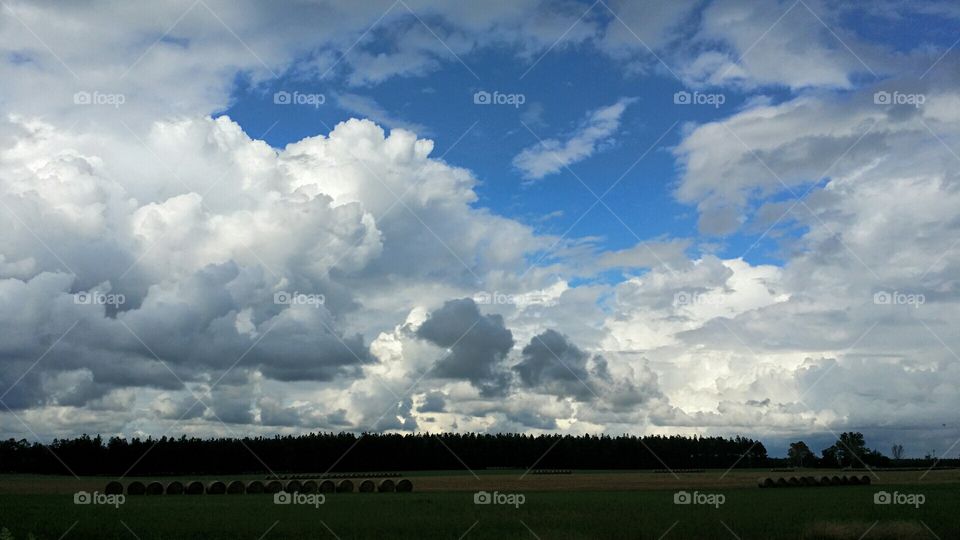 Storm clouds coming. I pass this field with this great open view every day.  I loved the way these clouds looked.