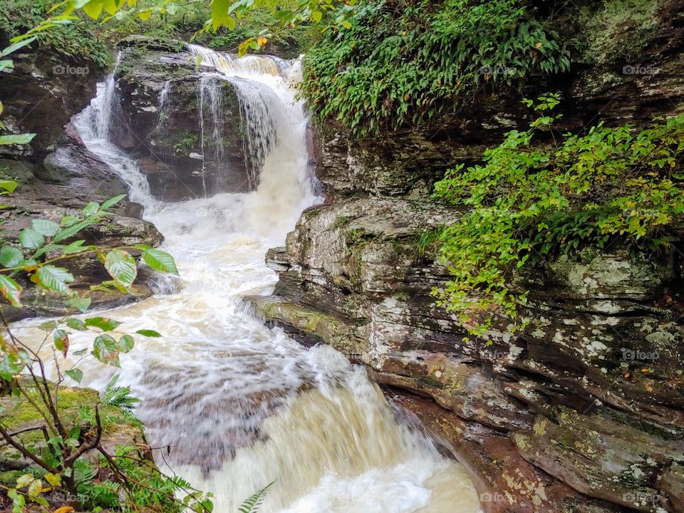 Ricketts Glen State Park