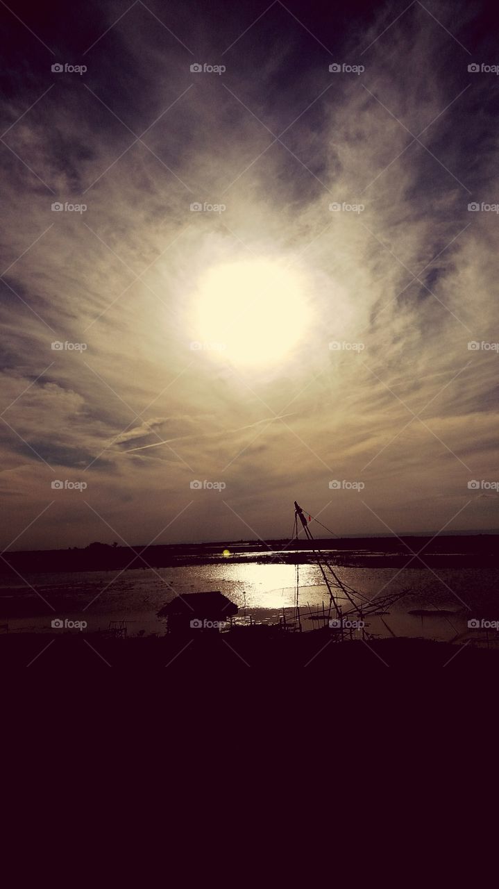 Catch fish in the swamp