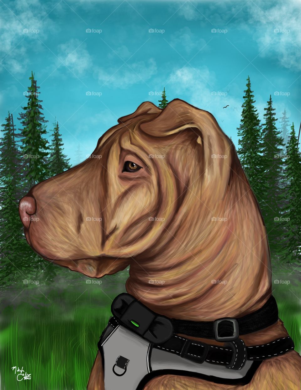Roofie in the field (my pup) digital art