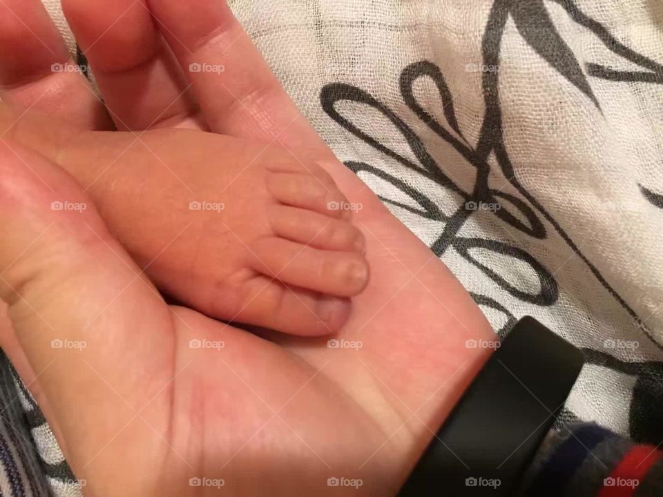 Mum hand hold baby’s foot