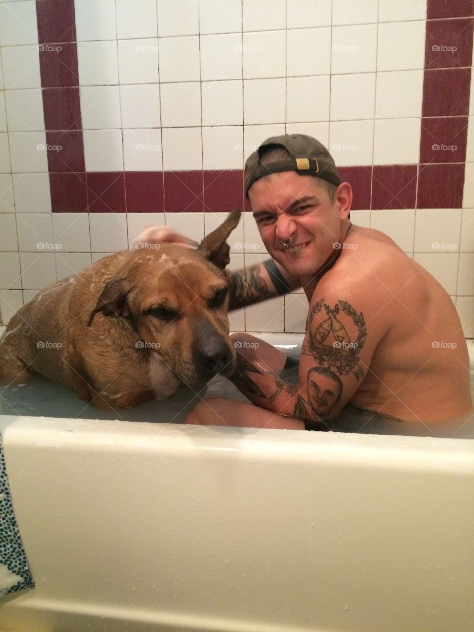 Bathroom, Bathtub, Indoors, Dog, One