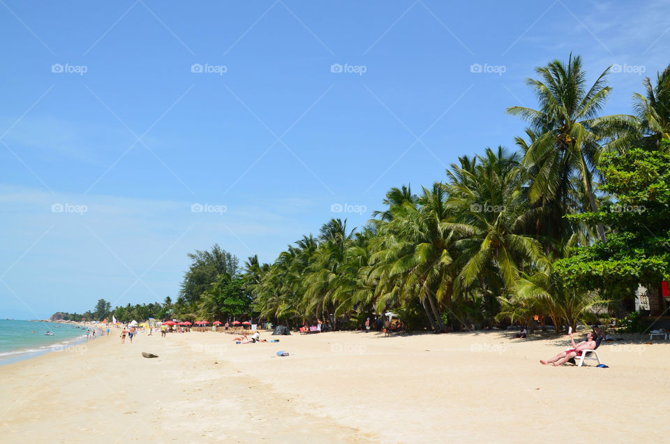 beach summer trees thai by lanocheloca