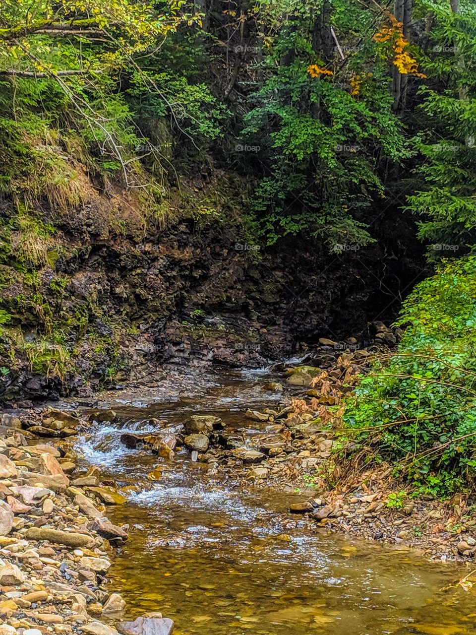 small creeck in carpathian mountains