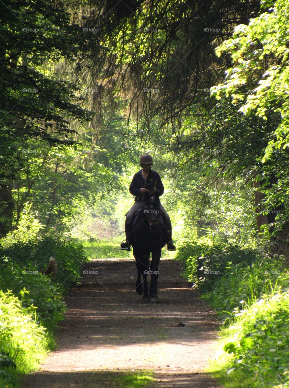 horseriding