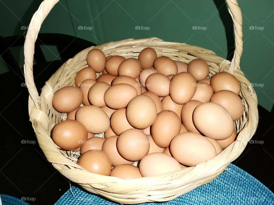 basket of eggs