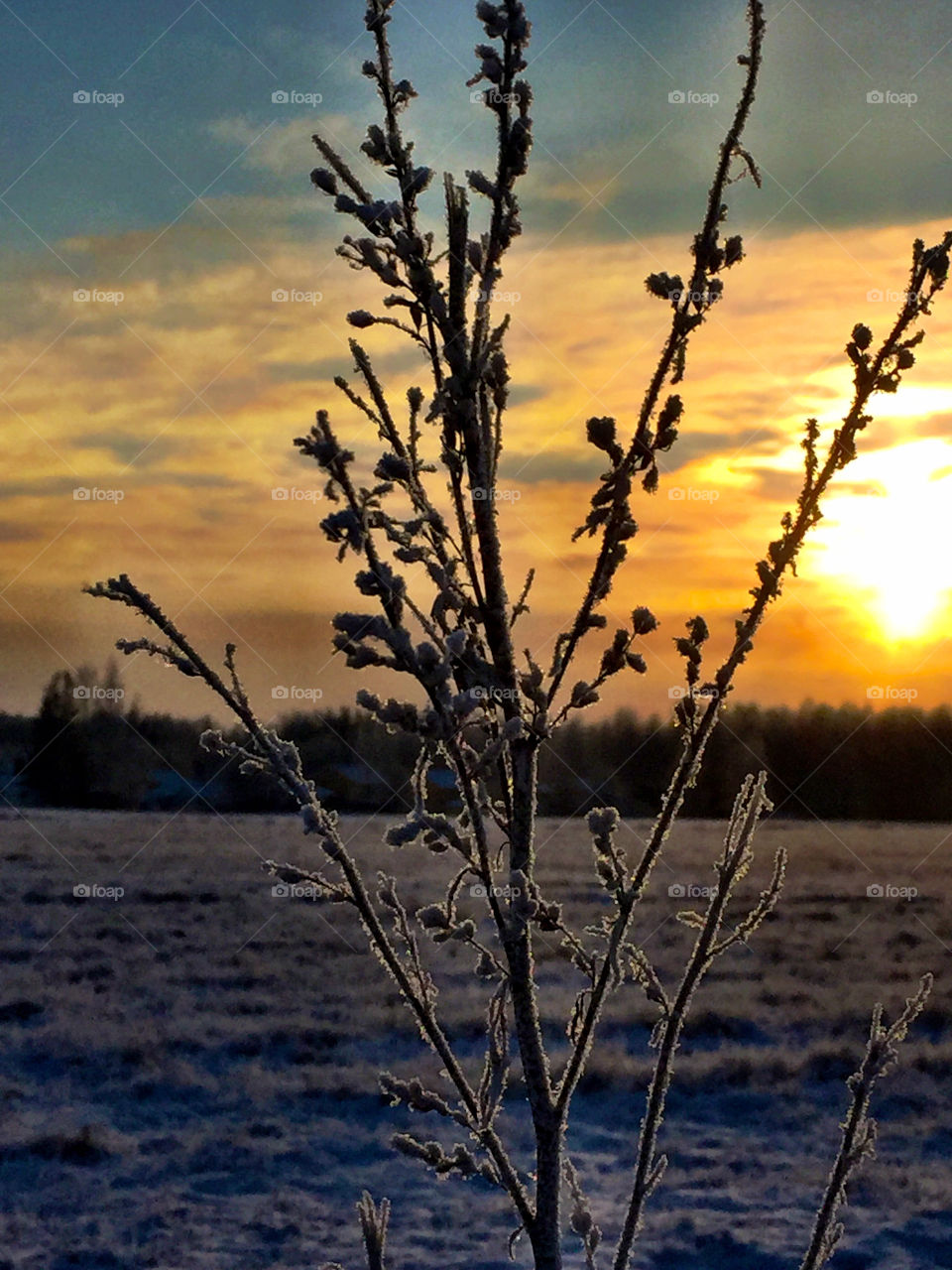 Sunset in the nature!