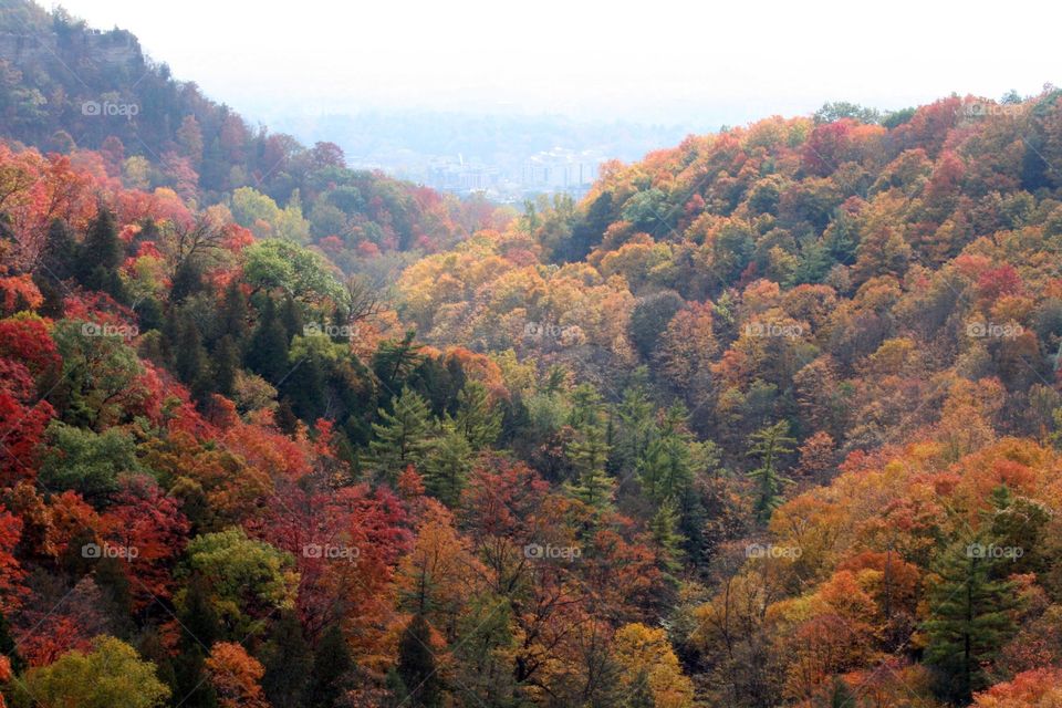 Magnificent Canadian autumn