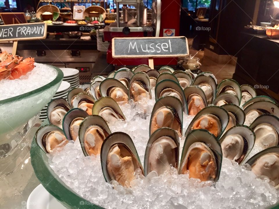 Big mussels