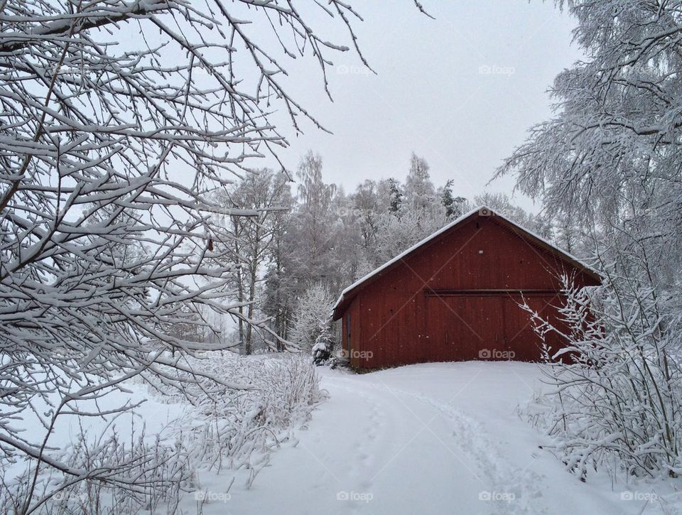 Old barn