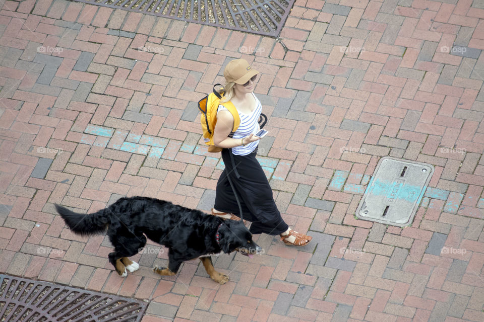 walking the dog. walking the dog downtown 