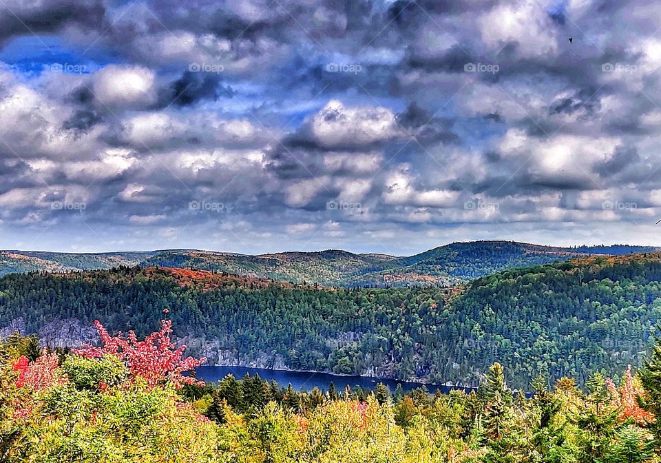 art photography of autumn