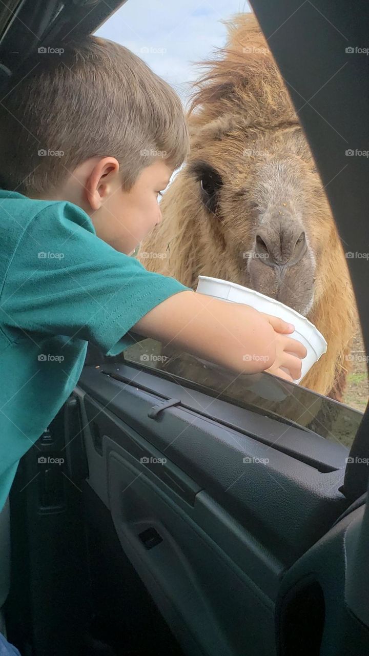 Feeding fun at the reserve