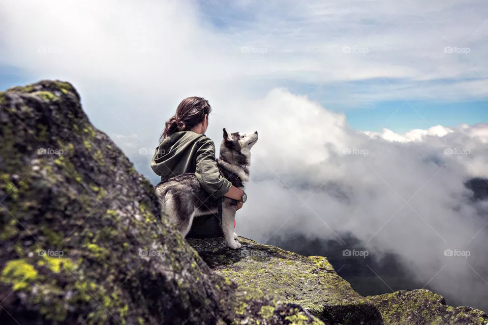 Dogs and humans