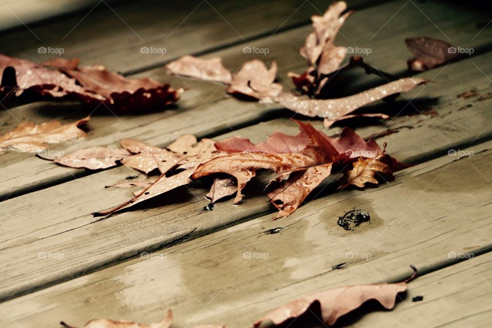 Leaves on the deck