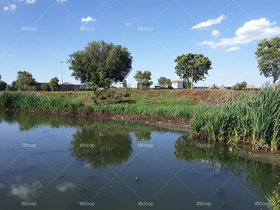 A beautiful dam at the park.