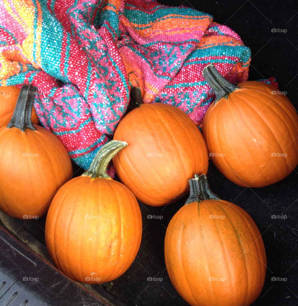 Whole harvested pumpkin with colorful blanket