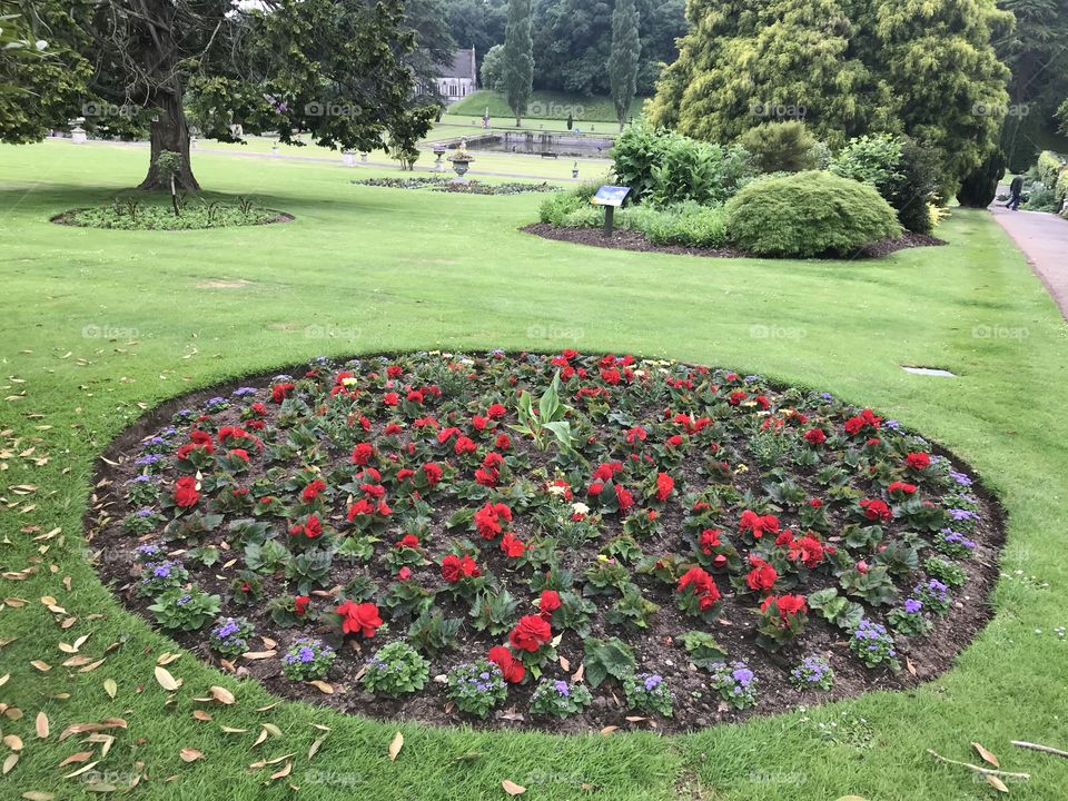 One of the main features of the lovely Bicton Gardens in East Budleigh in Devon , a Gardens which are a joy for the whole family.