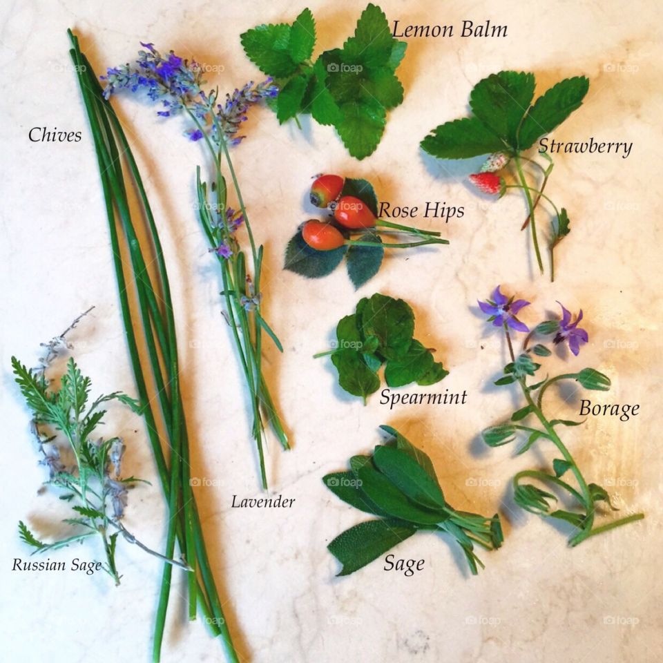 Herbs from our garden. Homegrown perennial herbs
