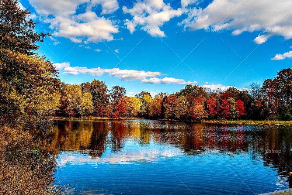 Fall by the lake