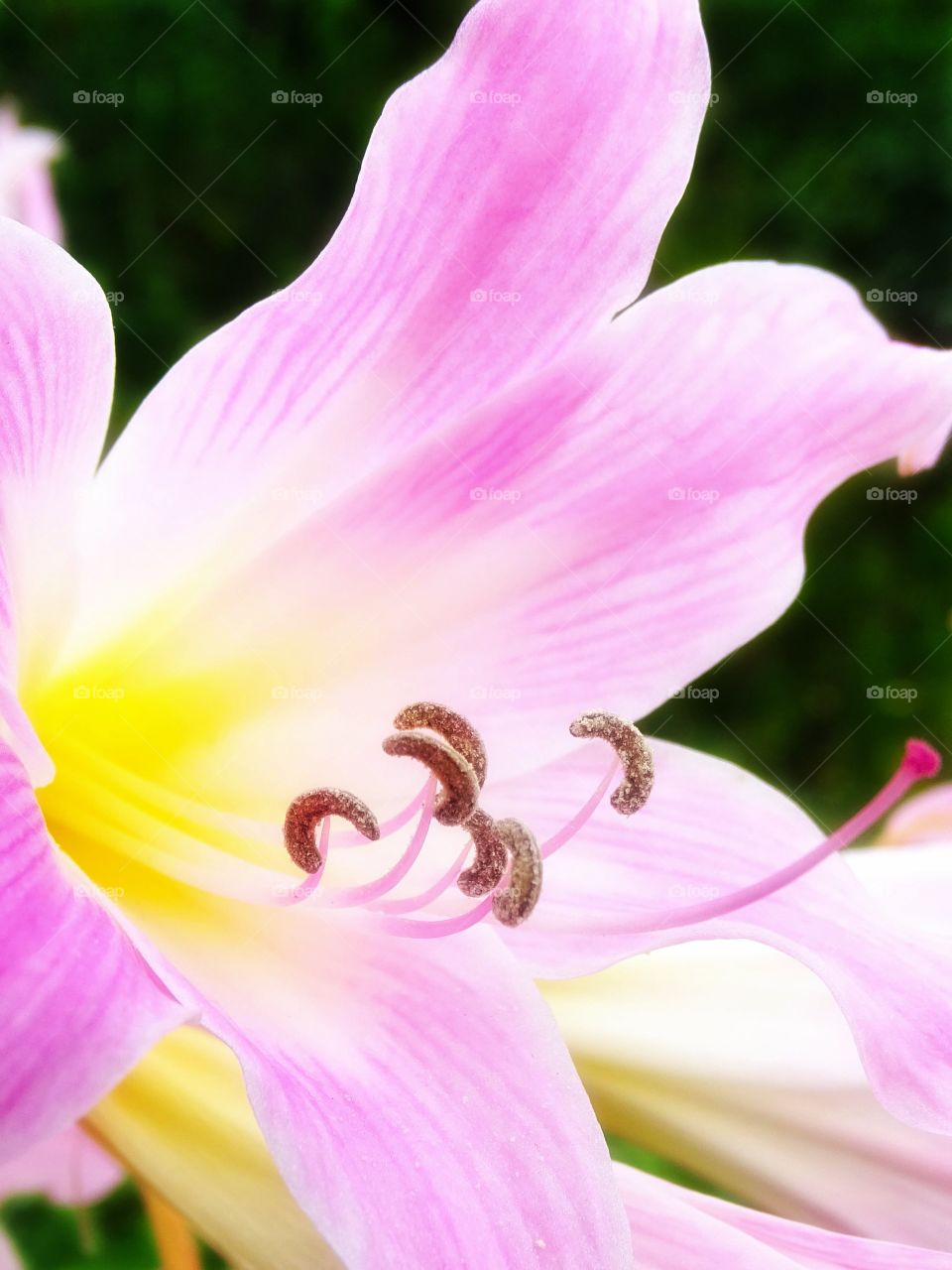 The little big world