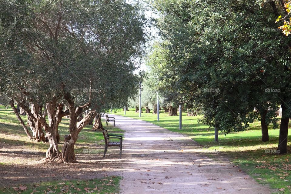 Autumn landscape in Madrid city