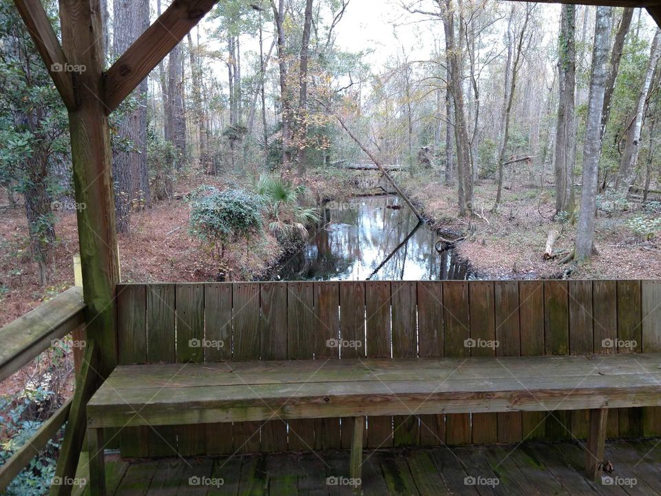 A creek in South Carolina