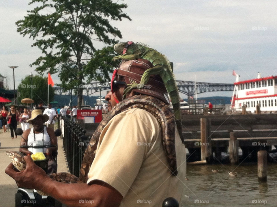 street ny lizard snake by delvec