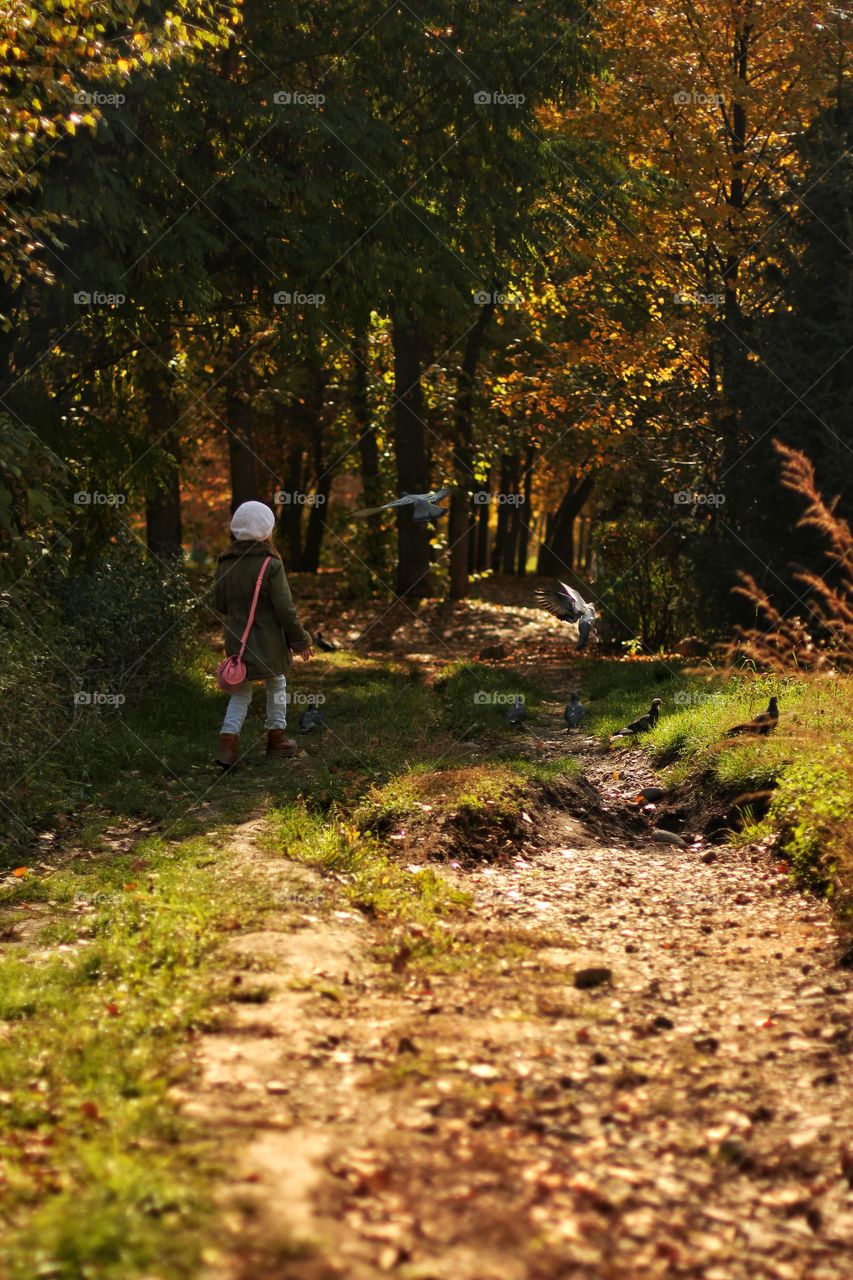 Little girl in the garden feeds pigeons
