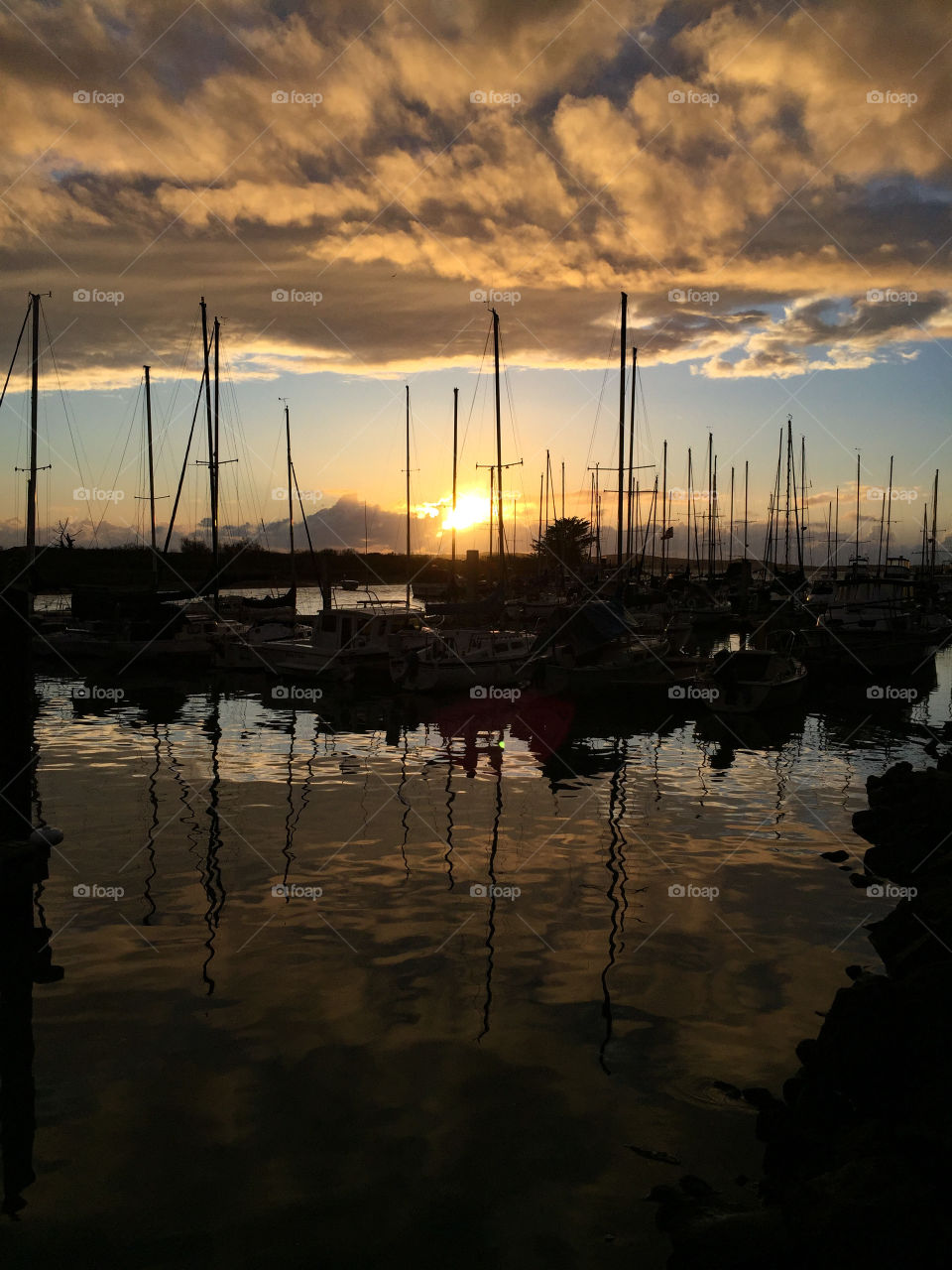 Marina at sunset
