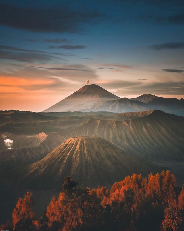 Foap Com Image Bromo Forest Stock Photo By Ahmatfauzi