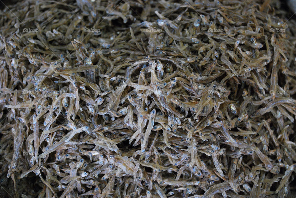 market philippines cebu dried by spyderko