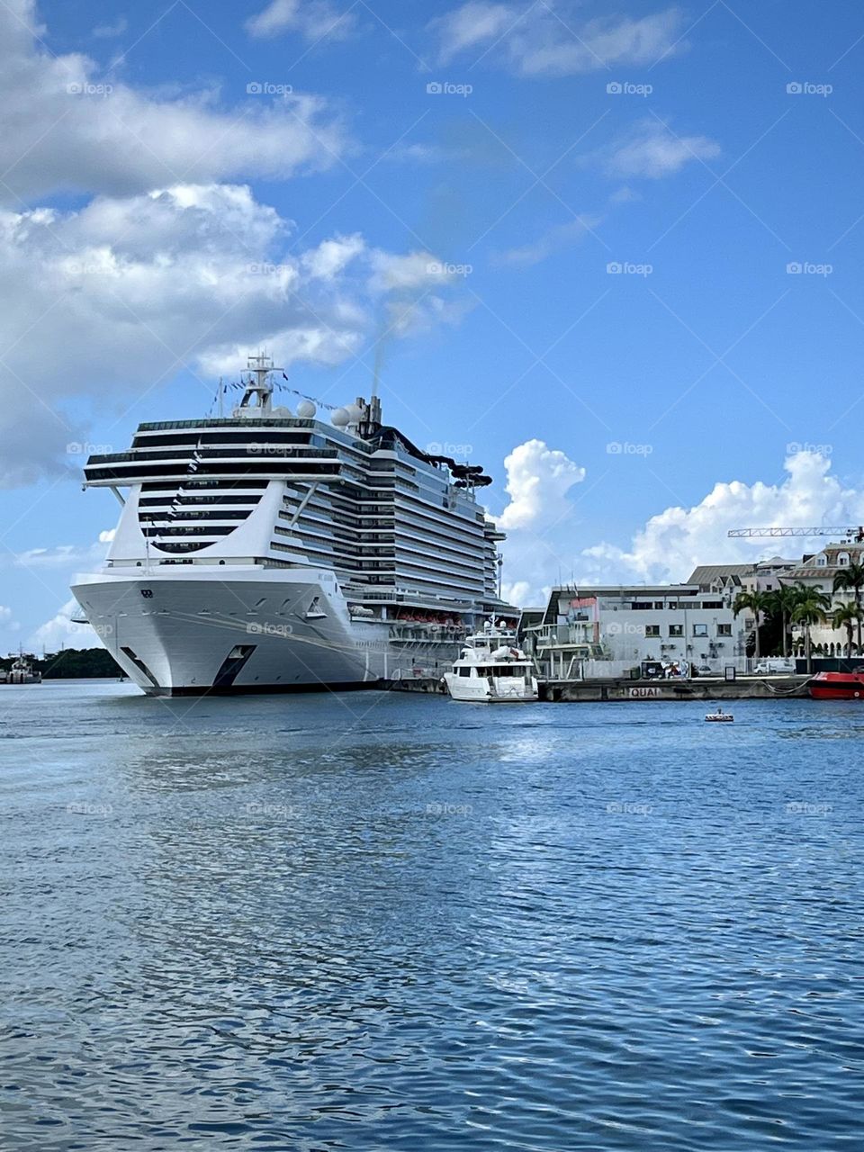 Cruise ship 