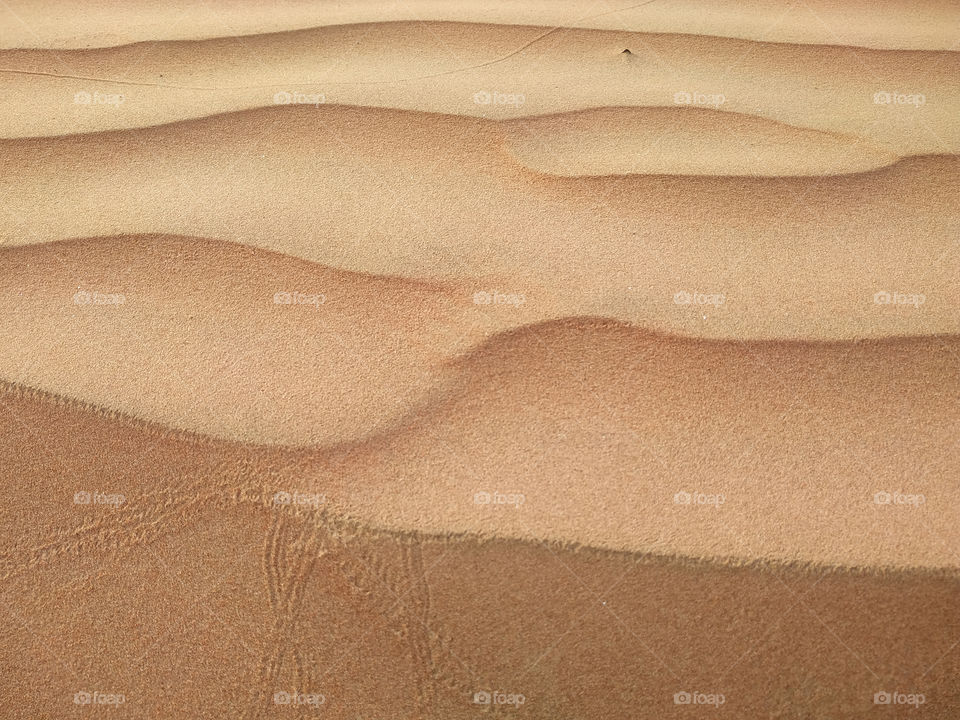 A closeup of sand dune texture