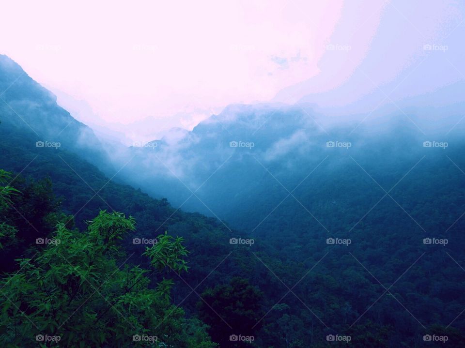 What a wonderful morning # mountains and forest surrounded by the mist and the clouds