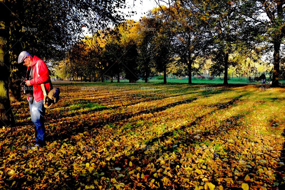The Autumn Photographer. A photographer checks his camera in a wood in Autumn surrounded by fall colours. 