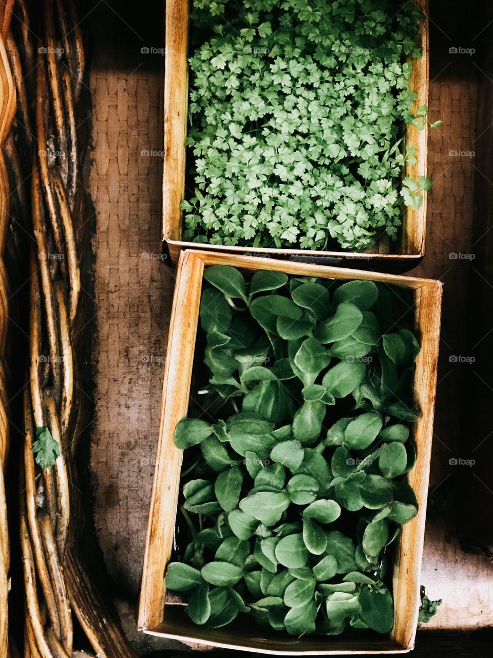 Green in craft boxes